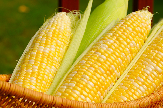 Khasiat Mengkonsumsi Jagung Setiap Hari